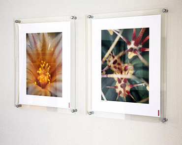 standard size photo frames