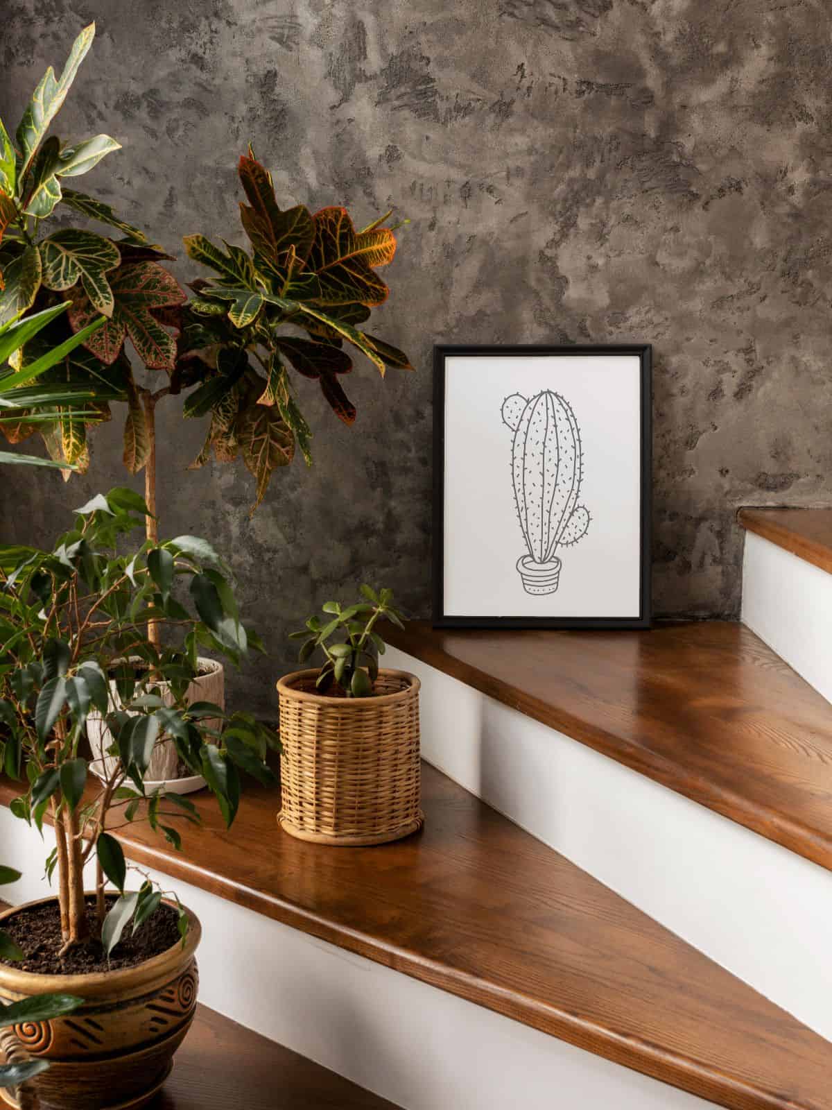 Styling black photo frames with botanical line art with indoor plants in a modern Australian home